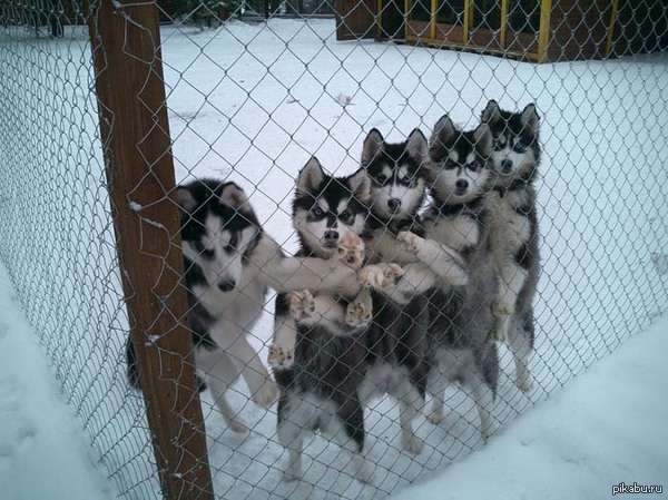 ����� � �� ��������� :(