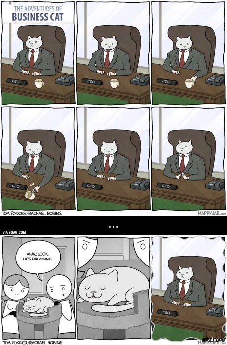 "������ ���"