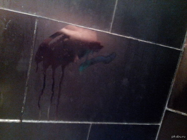 Неведомая жи