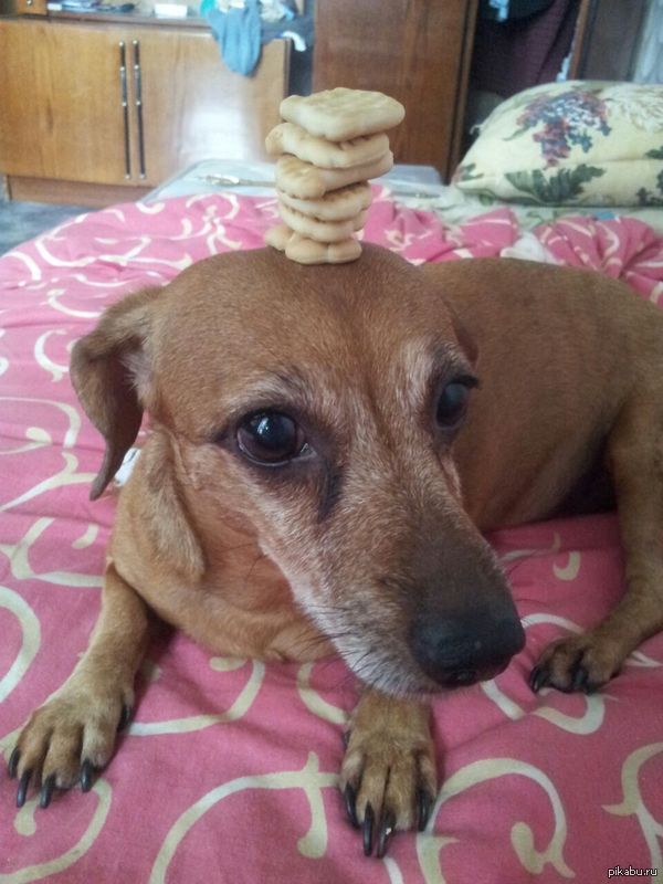 �������� � ������������))