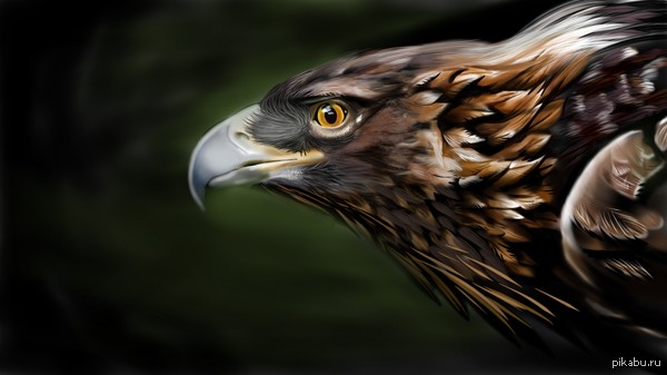 Мое художество.