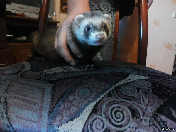 � �� ������ ��������-������! :)