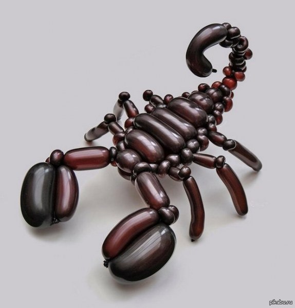 You can make more than just dogs out of balls! - Ball, Scorpion