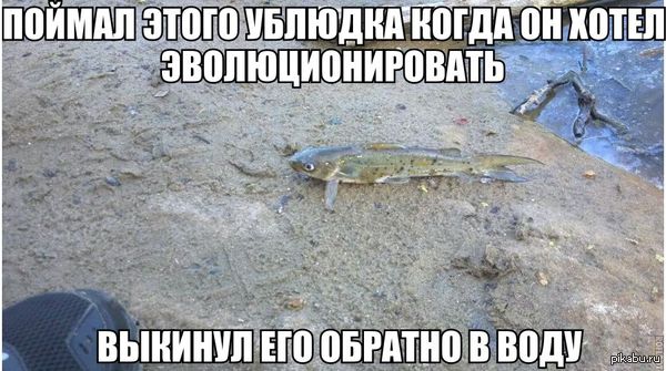   :( 