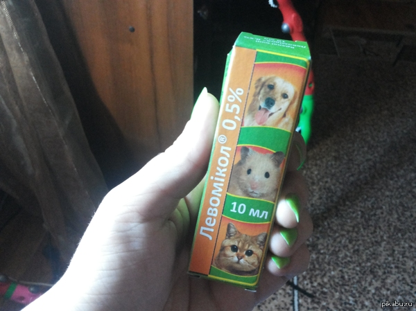 ������ ����� �������� )