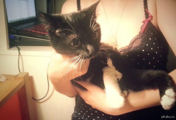 ������ � �� ����� ��� ����