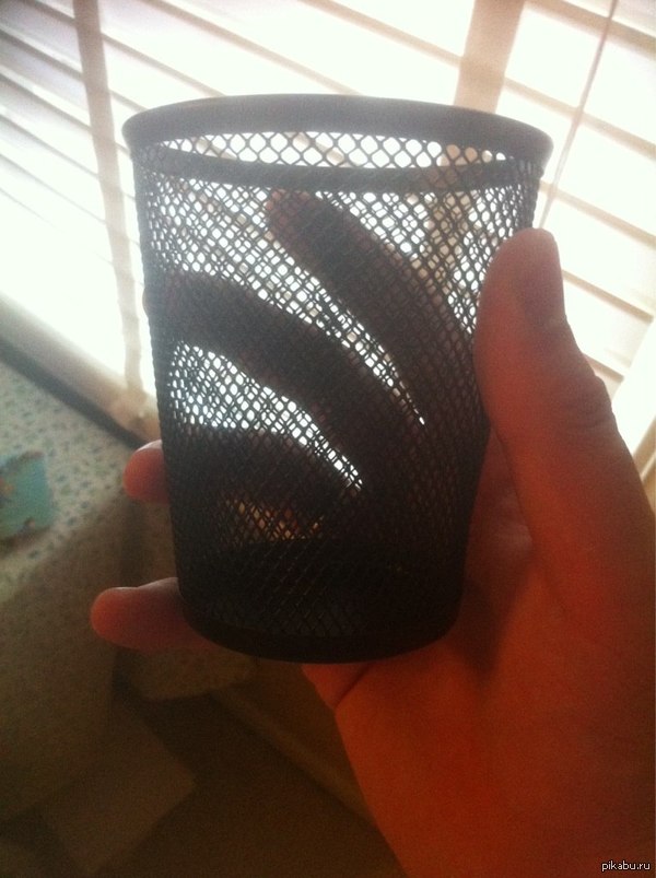 "��������� ���� � �������, ���� ������� ��� ���, ������, ��� ��� ������������ ����, �� ������� ��� ����� ���� ��������"