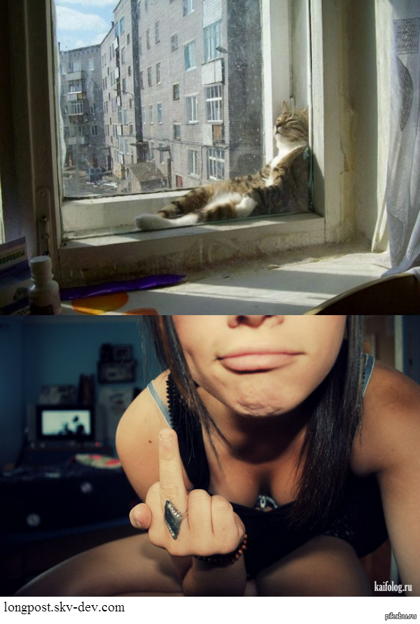    ( )    13 &quot;&quot;  - !