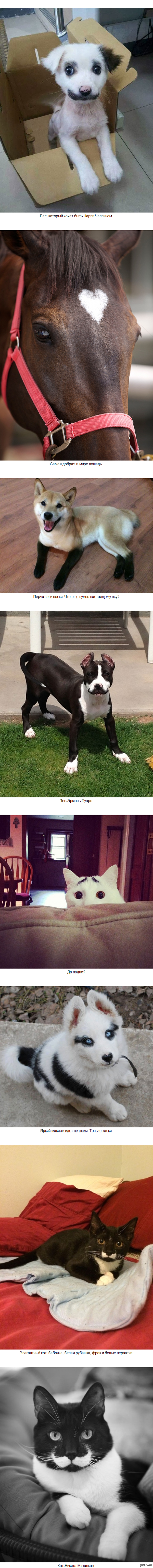 Довольно мило (2)