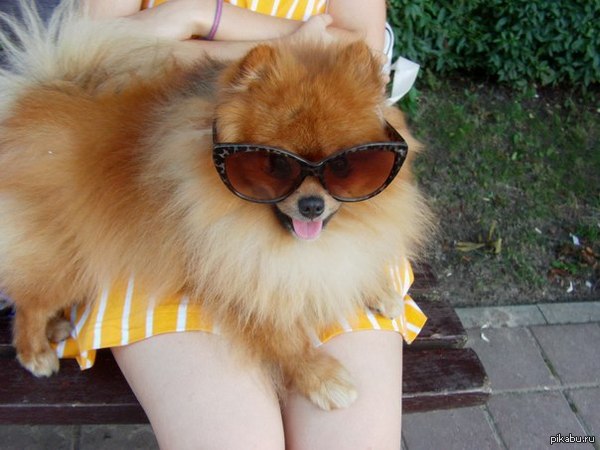 �������, ���� ���� ������ ���� ������, ��� ���