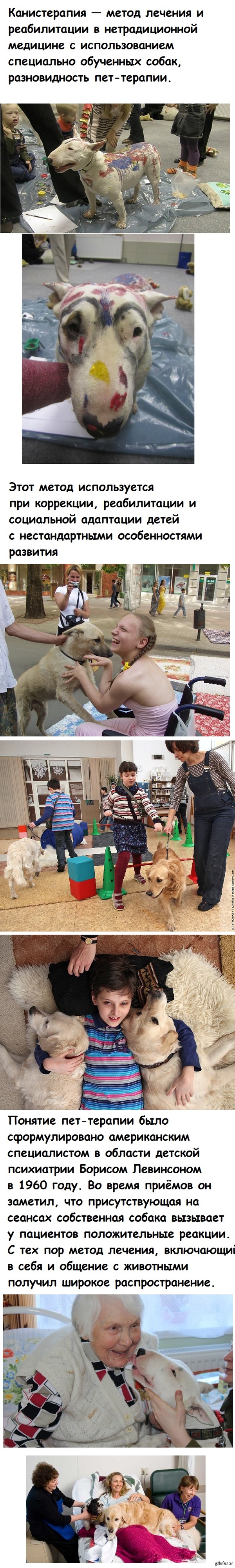 Канистерапия