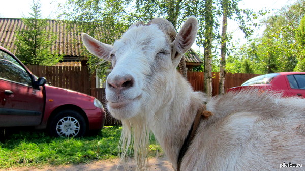 ��� ����, �� ����! ��� ����� ������� ����� � �������!