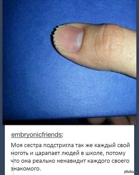 Мизантропы | Пикабу