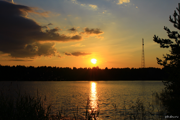 ����� �� �������