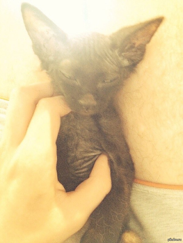 ��������� ������ ^^