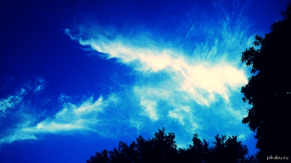 ������ ����