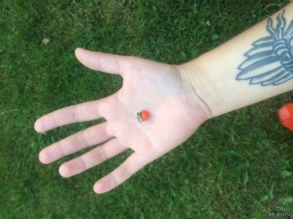 ���������! ���������� �������!