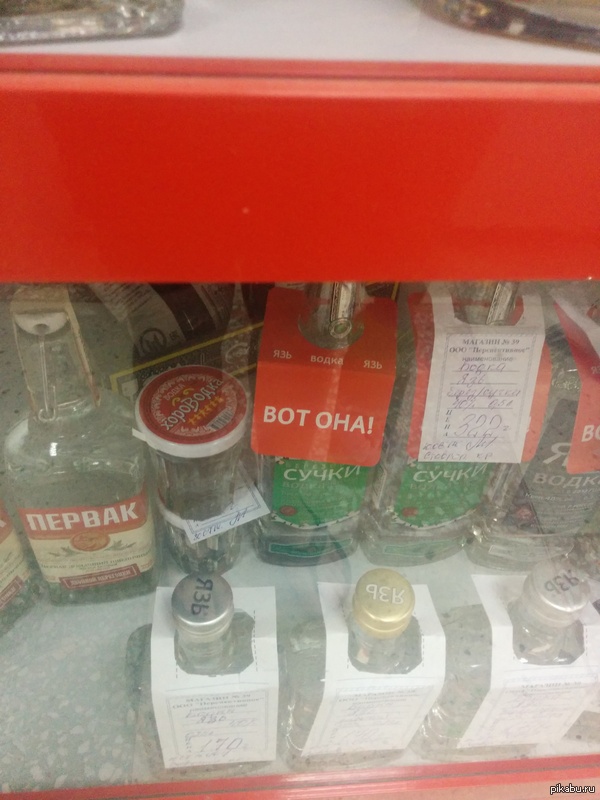 Вот она, сучки!