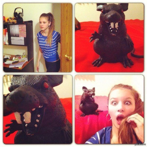 ����� �� �������� � ������� � ������ ���