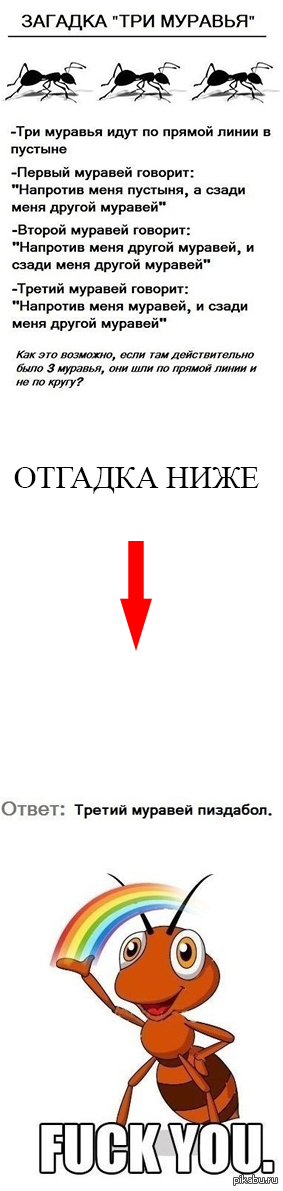 Решите логическую загадку | Пикабу