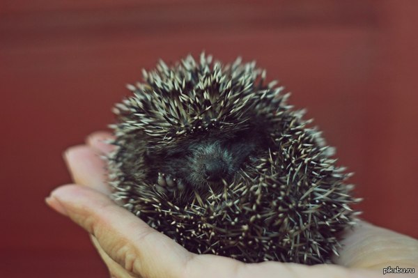 ��� ������, �� ������. ������� ���� ������ ^-^