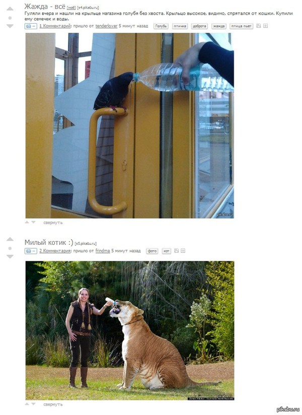 жажда на пикабу