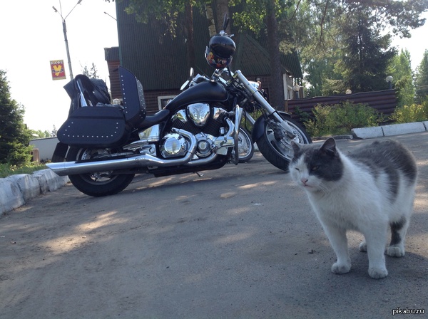 ����� ������