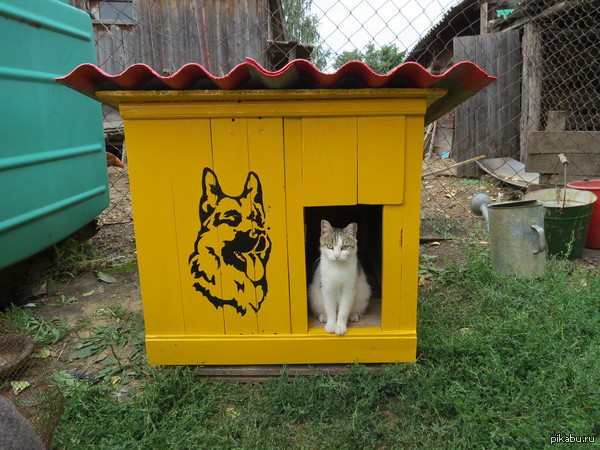 ����� ��� ������