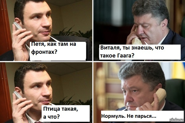 Виталь ты чего мне же нельзя. Кличко и Порошенко мемы. Кличко и Порошенко приколы. Порошенко и Кличко Мем. Смешные картинки Кличко.