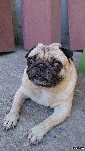 WTF did u say???