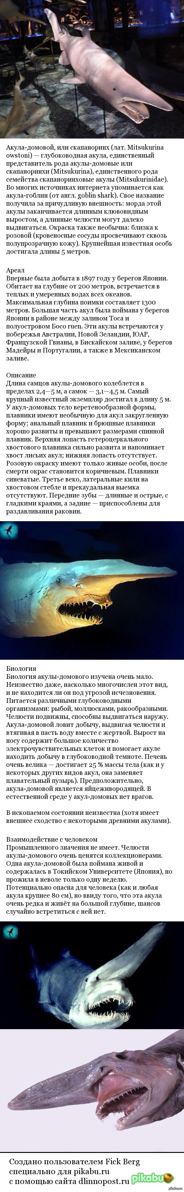 ��� ����� ������:)