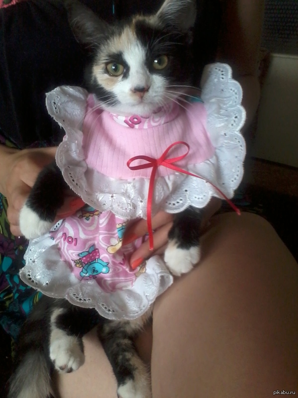    * *. -    -     .  . ..    )))