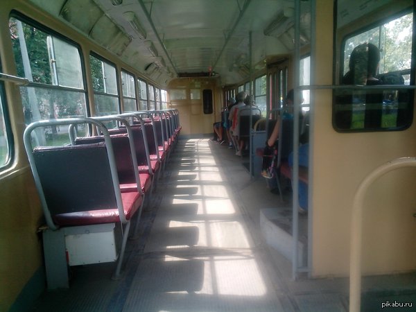 Сначала они жалуются на холод, а потом вот так встречают солнце