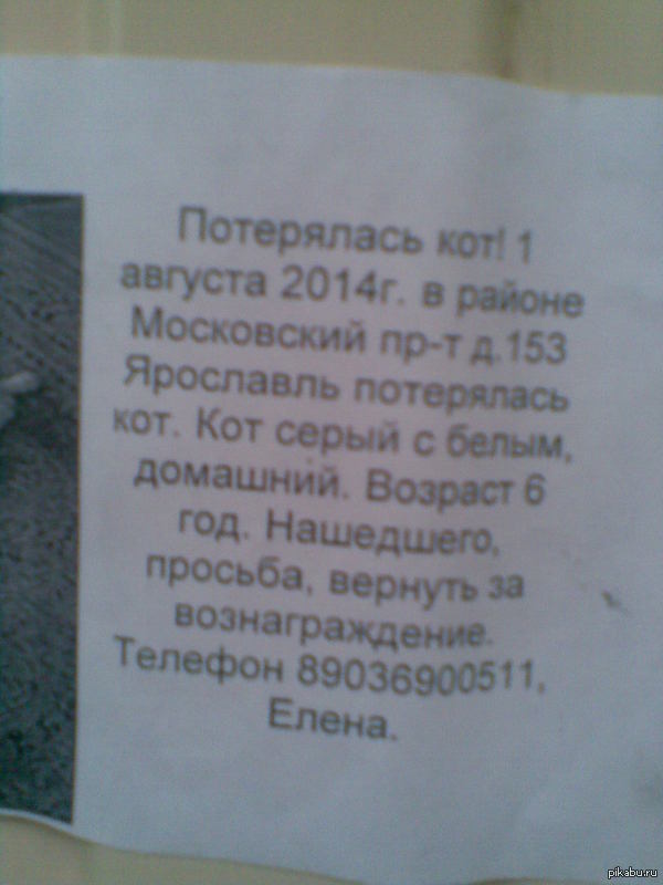 ))   ))