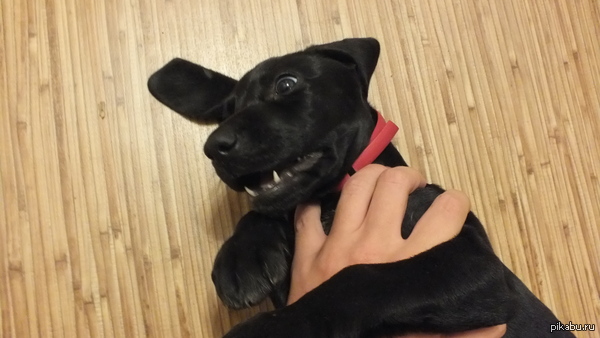 �� ������ ����, ������ ����������.