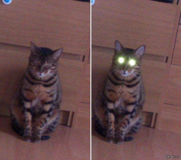 ����  �� ���� ��� ��� �������