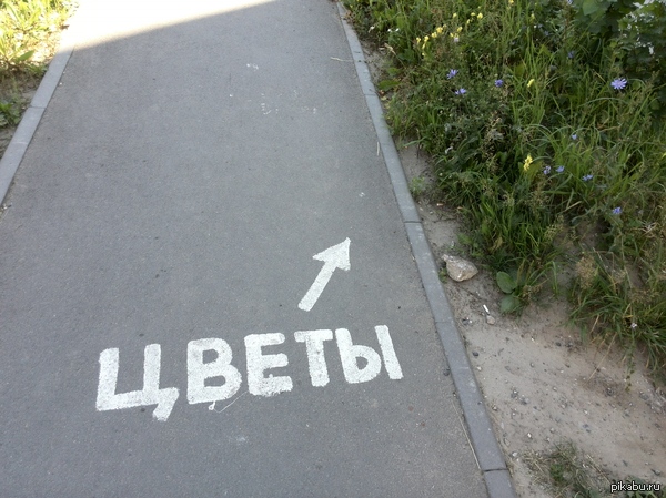 Кэп, не надо | Пикабу