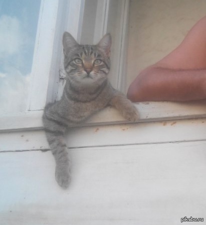 ��� �� �������.