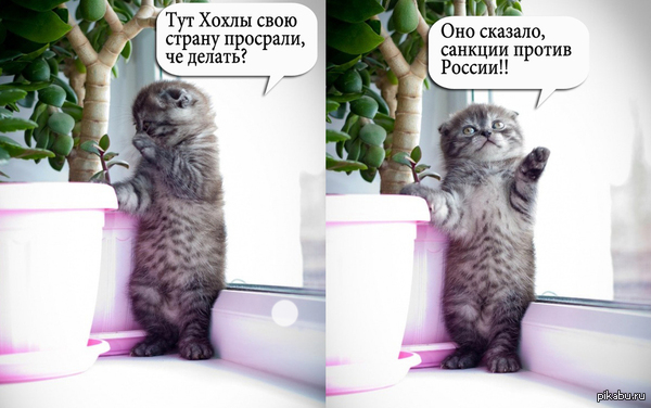 ��� �����!