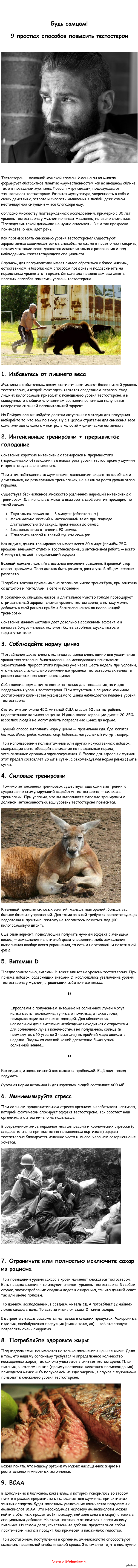 9 простых способов повысить тестостерон 9 простых способов повысить тестостерон
