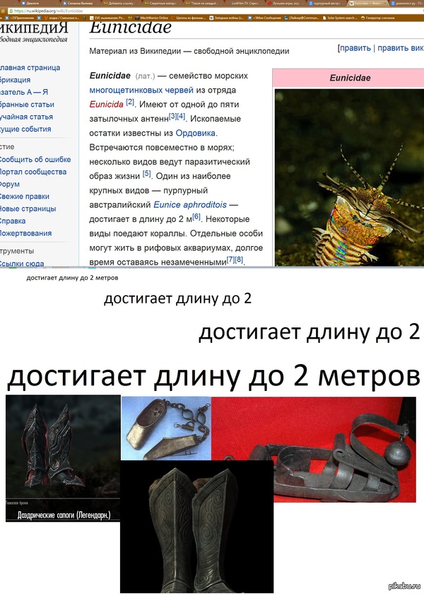 ���� ������������