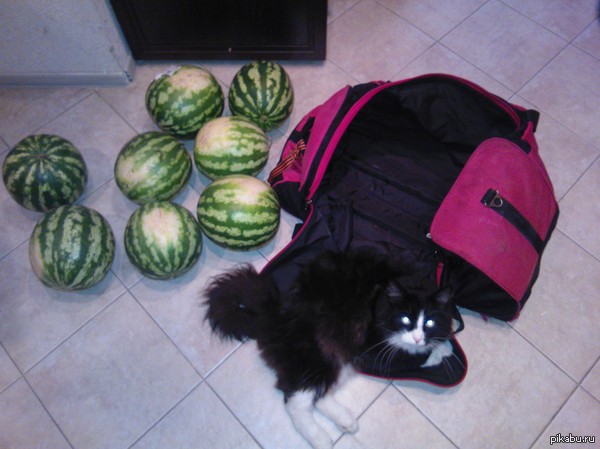 ��� ����� ������, ��� �� �����)