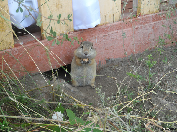 ������� �� ����, ������� ��� ����� ��� �����