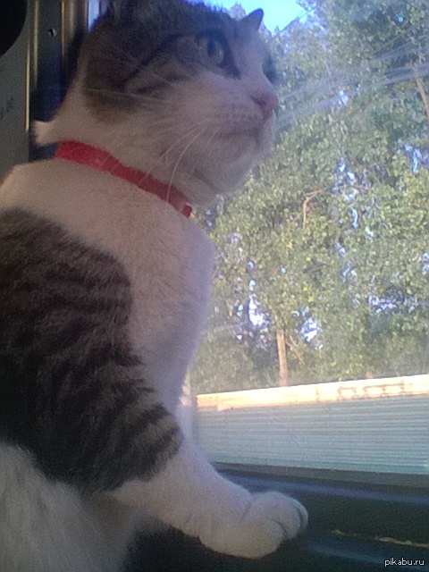 ���� �����.