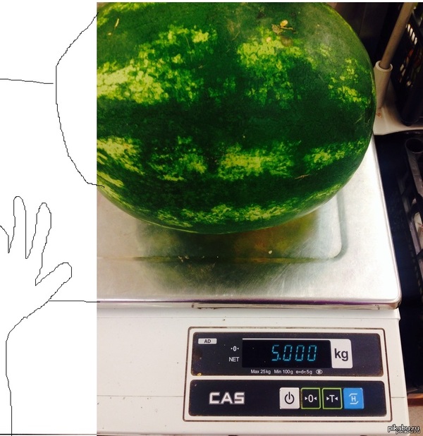 Не мог так не сделать :D