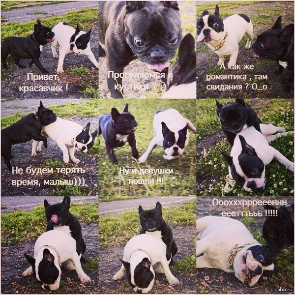 �������� �  �������