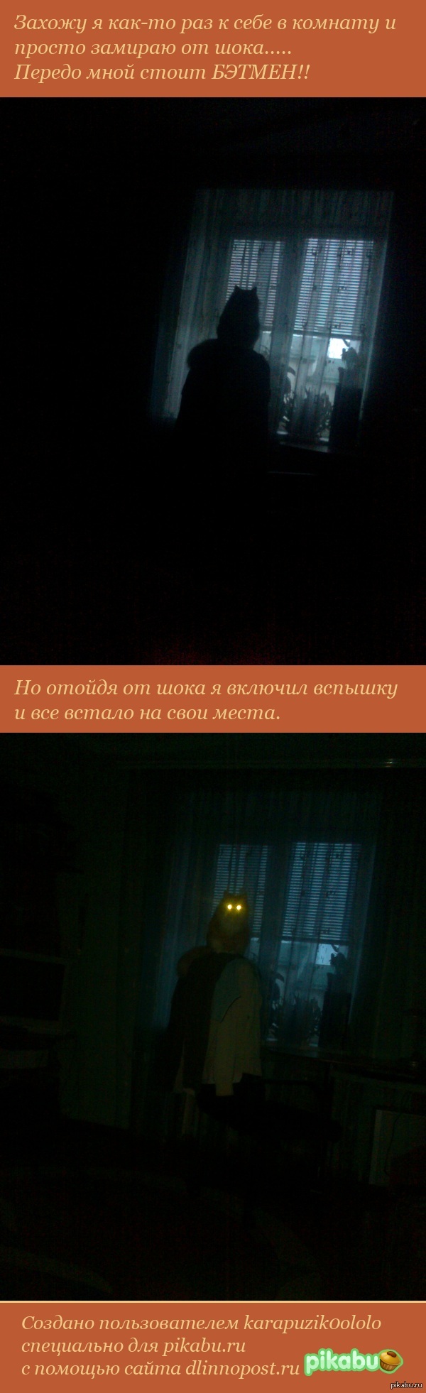 Домашний Бэтмен