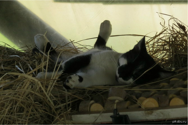 ��������� ��� �� ����� ����