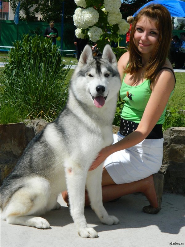 ��� ��� 3 ���� � ����)