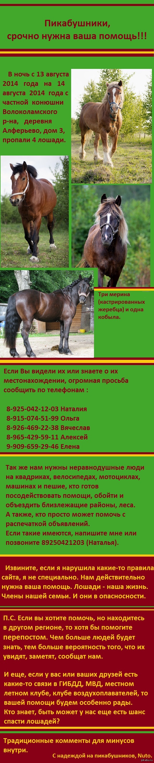 В МО, Волоколамском районе в ночь с 13 на 14 августа с пастбища пропали  четыре лошади нужна ваша помощь в поисках! | Пикабу